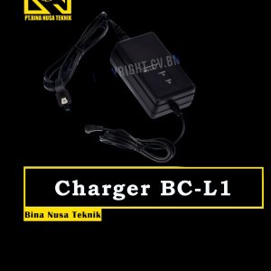 charger BT-L1 gowin